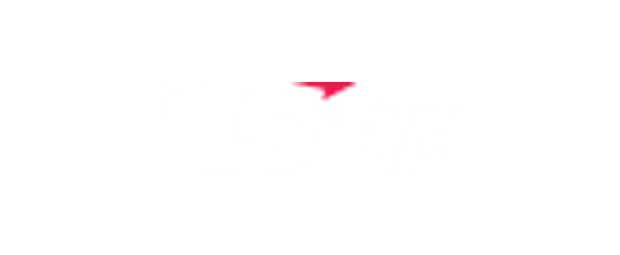 LS logo
