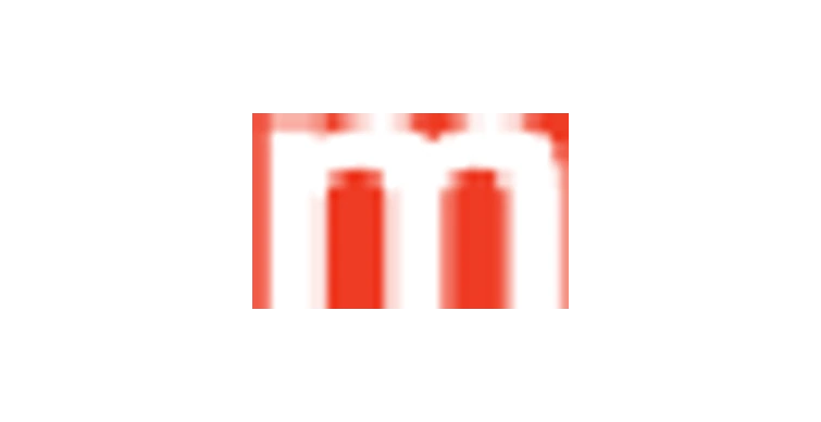 MERITZ FINANCIAL GROUP INC. logo